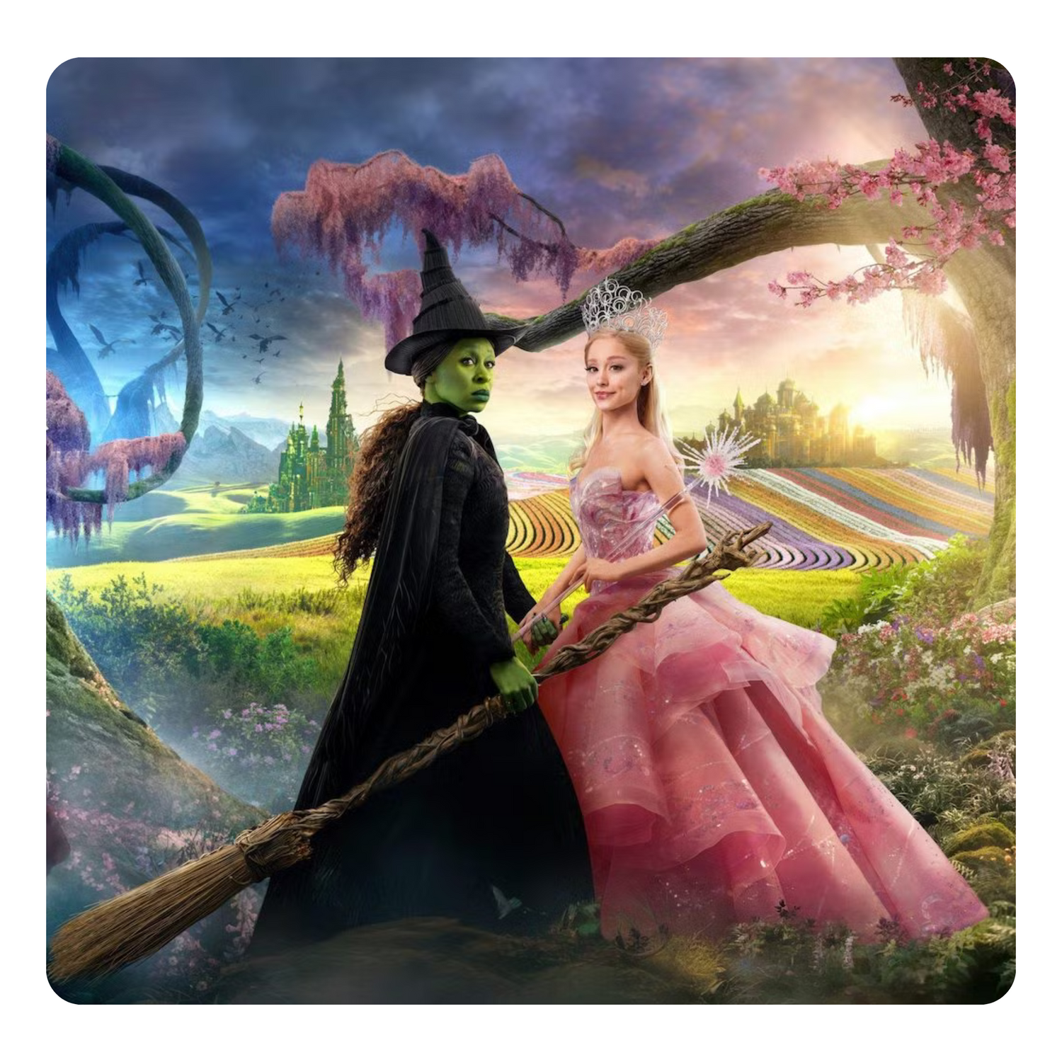 Wicked Collection