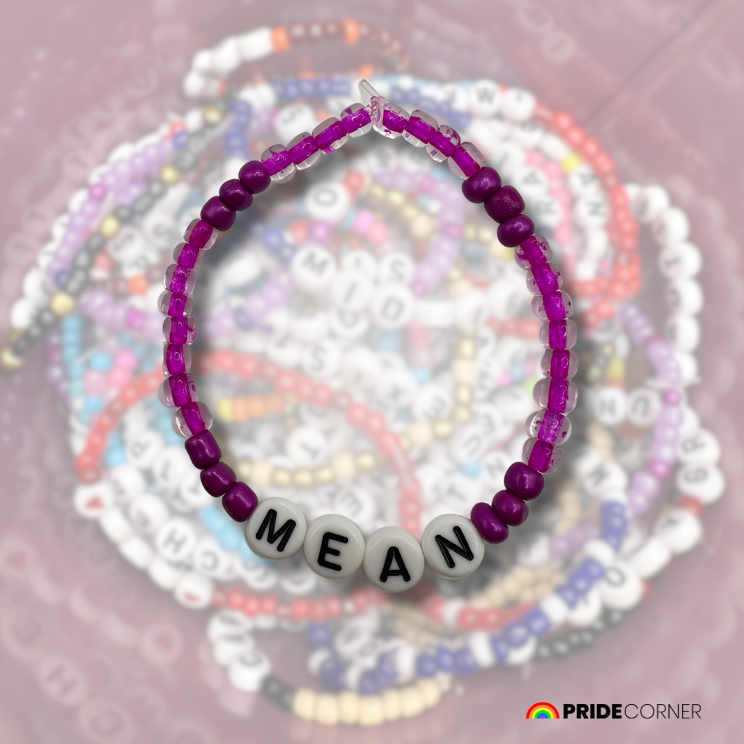 Taylor Swift Speak Now Album Inspired Friendship Bracelets | Individual Songs or Full Set