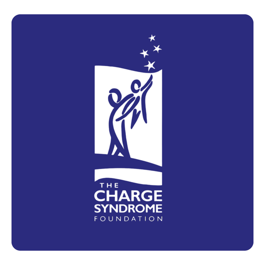 The CHARGE Syndrome Foundation Beaded Bracelets | The Pride Corner Charity Initiative
