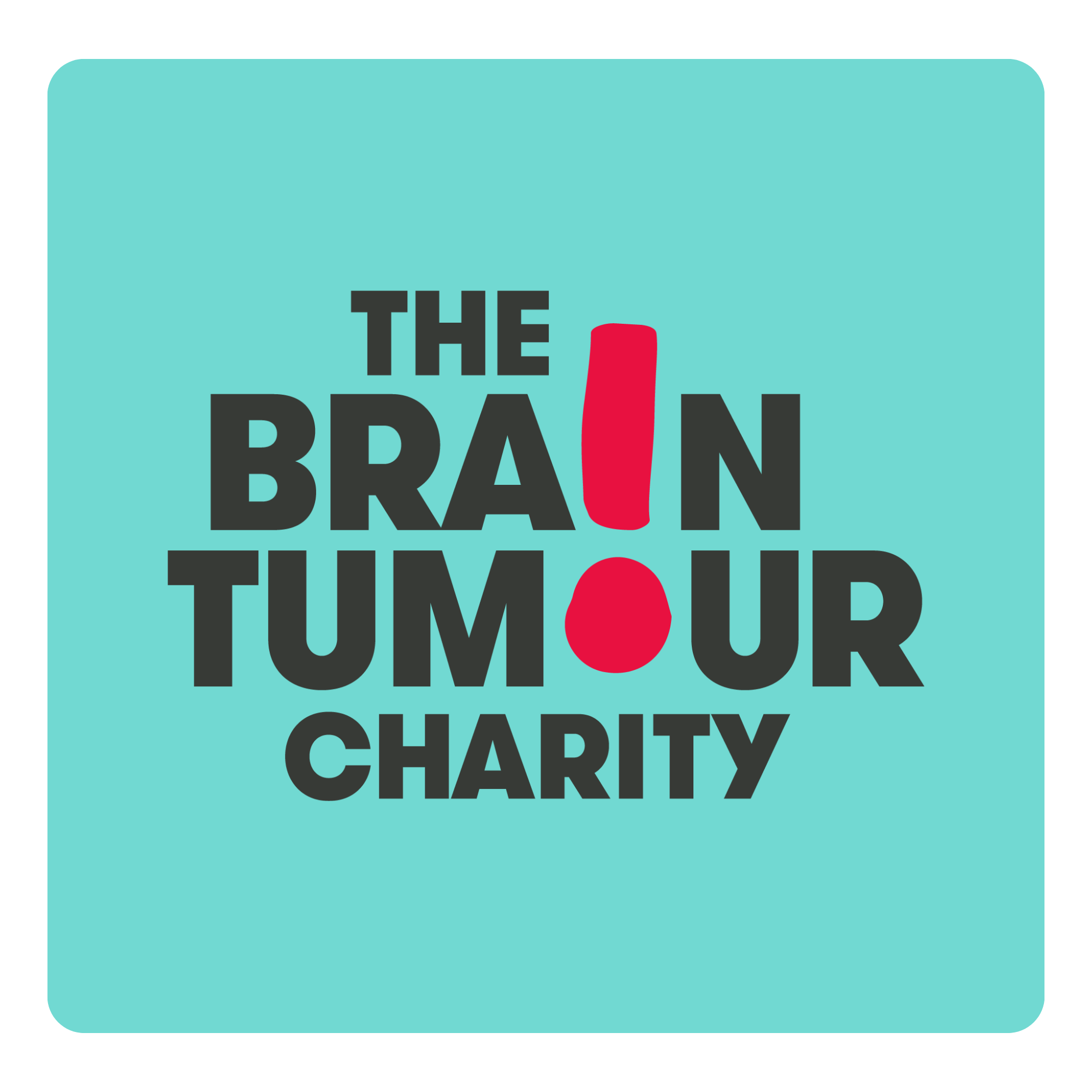 The Brain Tumour Charity Beaded Bracelets | The Pride Corner Charity Initiative