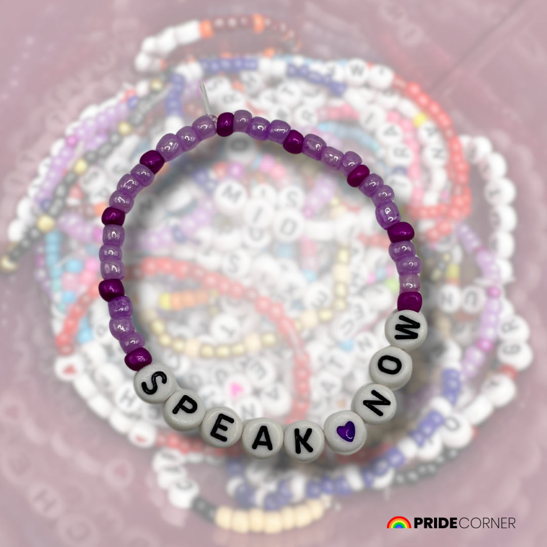 Taylor Swift Speak Now Album Inspired Friendship Bracelets | Individual Songs or Full Set