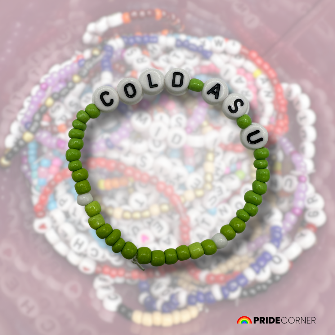 Taylor Swift Debut Album Inspired Friendship Bracelets | Individual Songs or Full Set